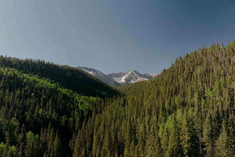 Mountain Village Panoramic Perfection - Mountain Village, Colorado