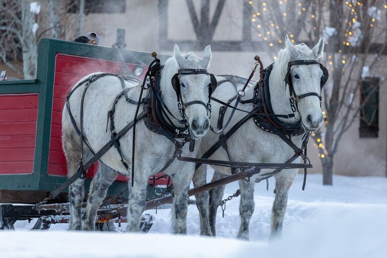 Sun Valley - Ten Minute Stroll To Village Square Shops & Restaurants - Sun Valley, Idaho