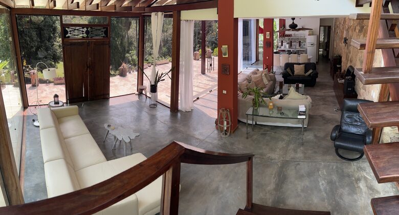 Hidden Haven: A Sanctuary in Rio’s Atlantic Forest - Petrópolis, Brazil