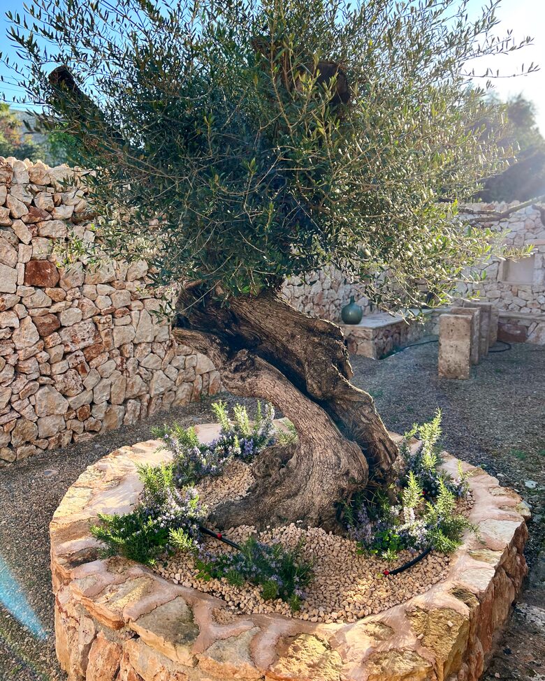 Finca Can Torrent - Santanyí, Mallorca, Spain