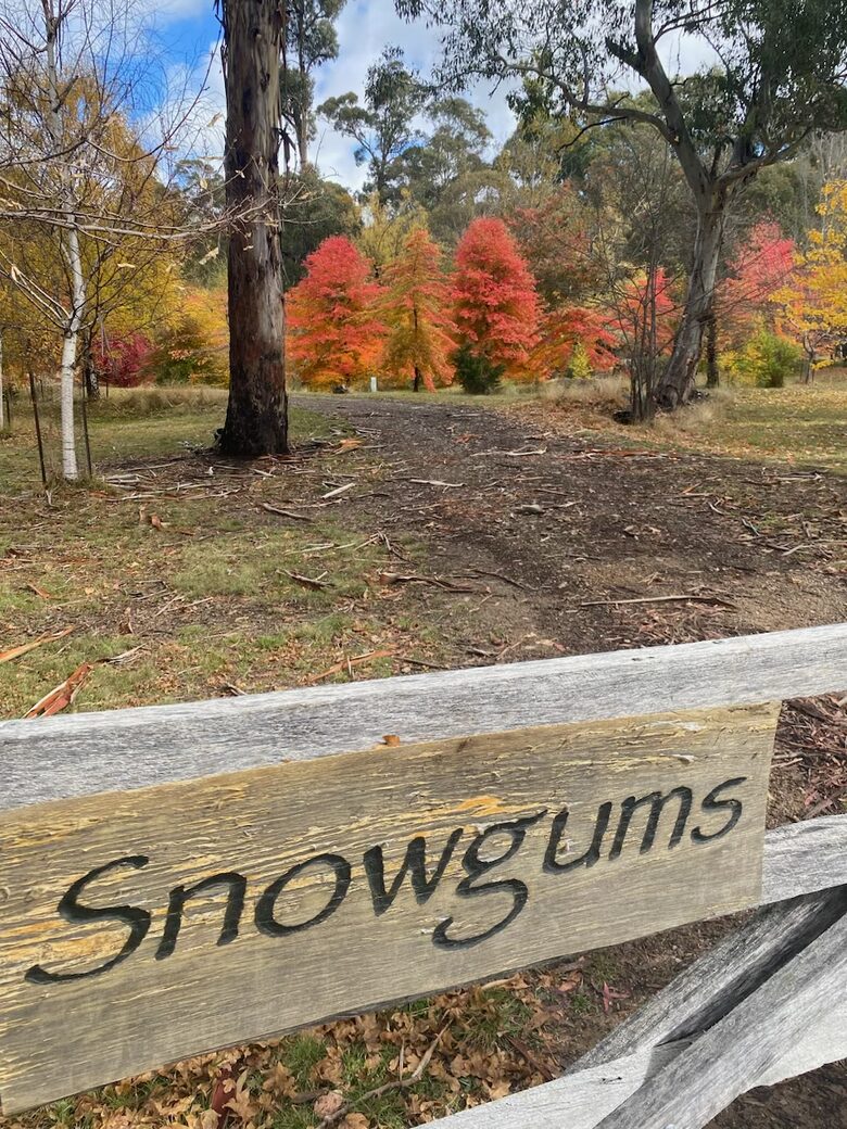 Picturesque Snowy Mountains Retreat - Yaouk, Australia