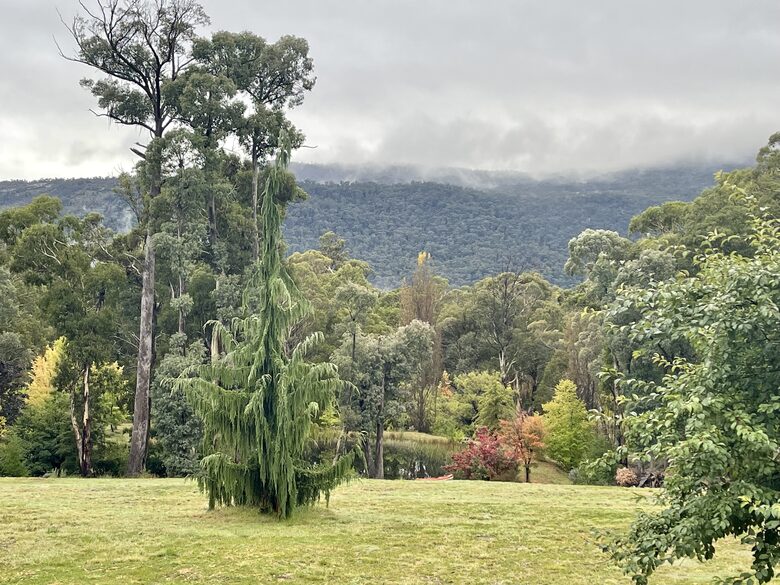 Picturesque Snowy Mountains Retreat - Yaouk, Australia
