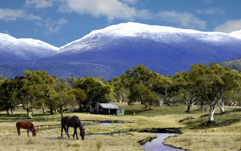 Picturesque Snowy Mountains Retreat - Yaouk, Australia