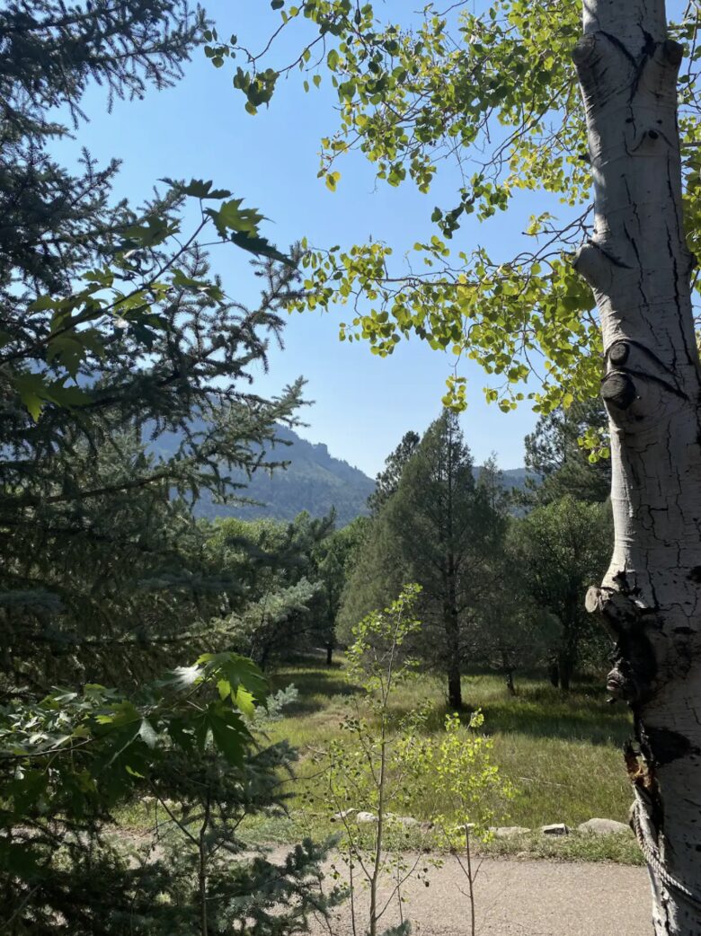 Lucky Dog Ranch - Durango, Colorado