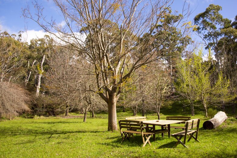Picturesque Snowy Mountains Retreat - Yaouk, Australia
