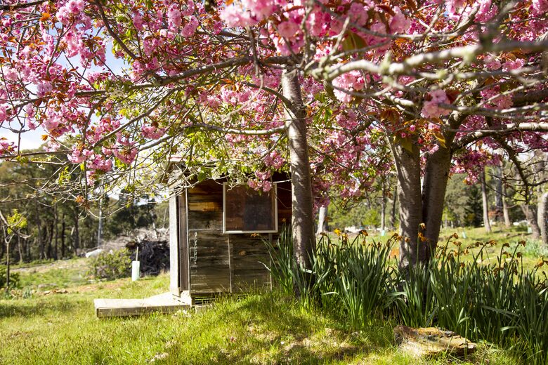 Picturesque Snowy Mountains Retreat - Yaouk, Australia