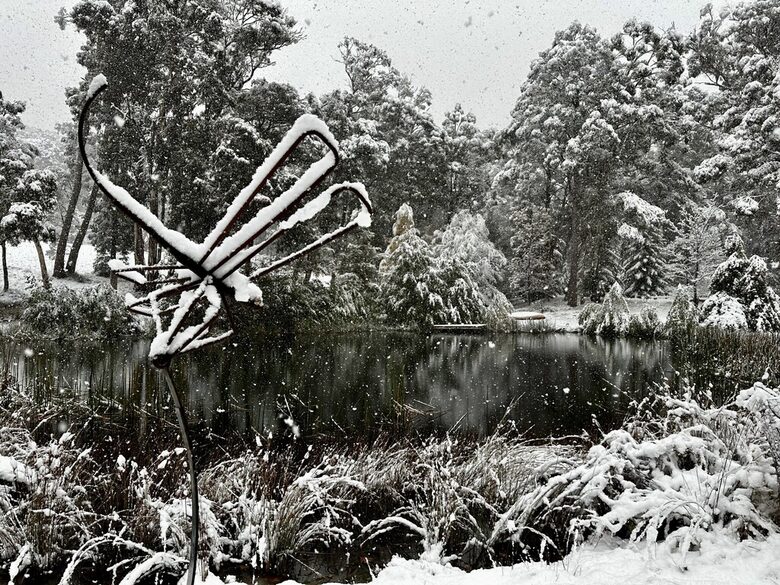 Picturesque Snowy Mountains Retreat - Yaouk, Australia