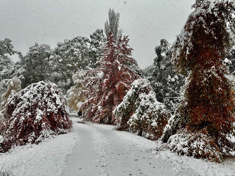 Picturesque Snowy Mountains Retreat - Yaouk, Australia