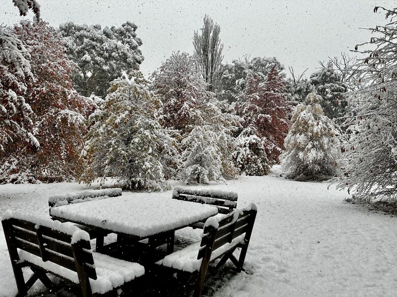 Picturesque Snowy Mountains Retreat - Yaouk, Australia