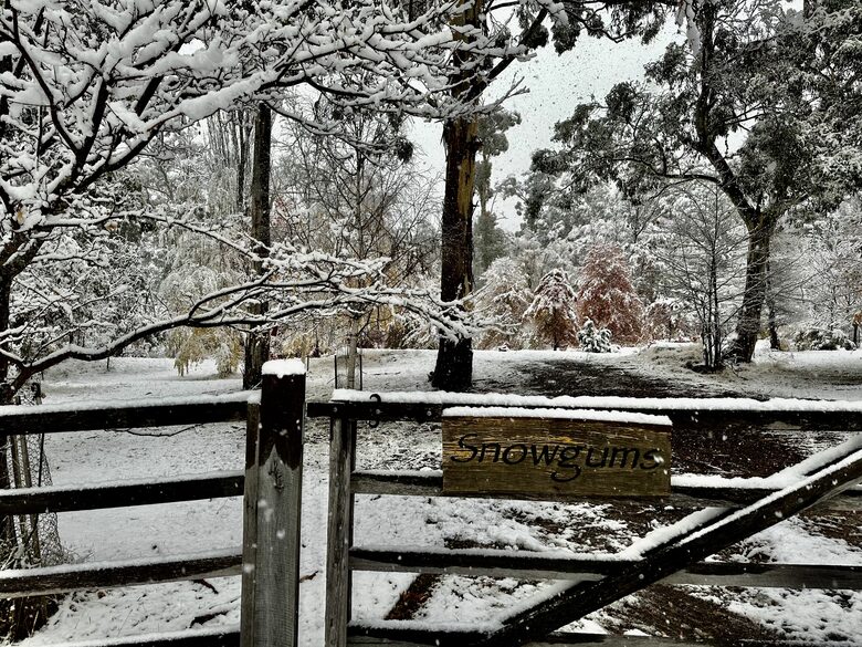 Picturesque Snowy Mountains Retreat - Yaouk, Australia