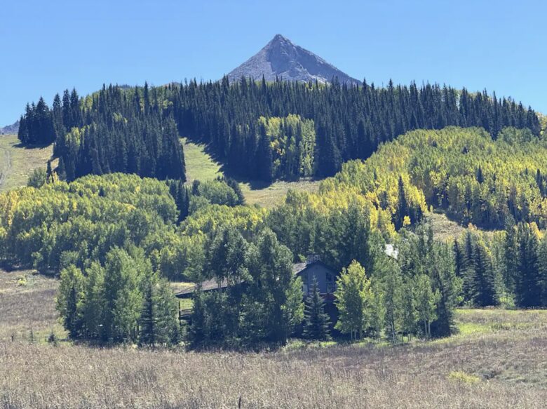 Cozy Townhouse in Crested Butte - Crested Butte, Colorado