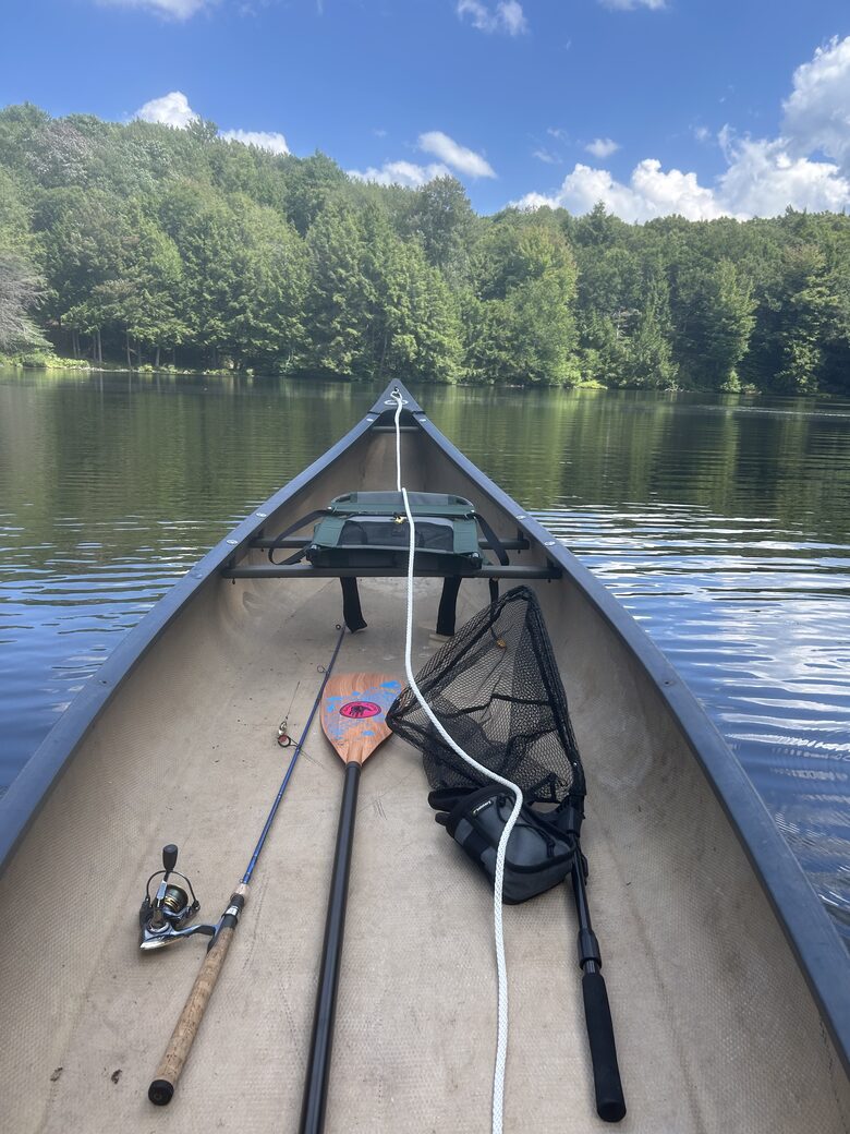 Lakehouse Dream - Muncy Valley, Pennsylvania