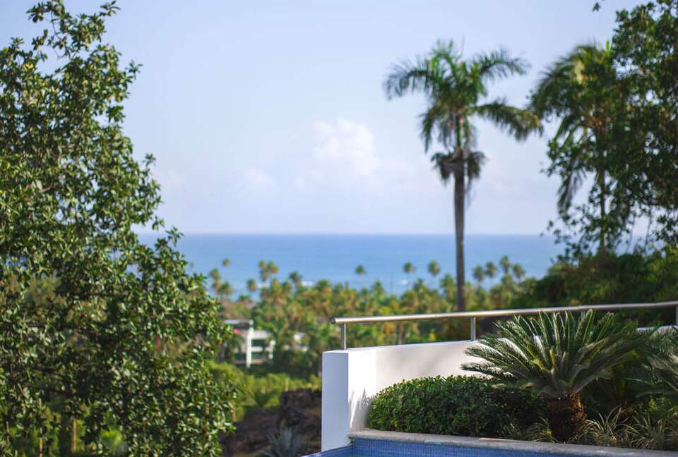 Stunning Hilltop Retreat with Oceanview and Infinity Pool - Las Terrenas, Dominican Republic