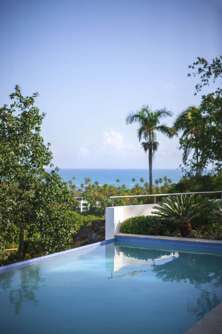 Stunning Hilltop Retreat with Oceanview and Infinity Pool - Las Terrenas, Dominican Republic