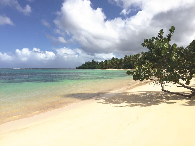 Stunning Hilltop Retreat with Oceanview and Infinity Pool - Las Terrenas, Dominican Republic
