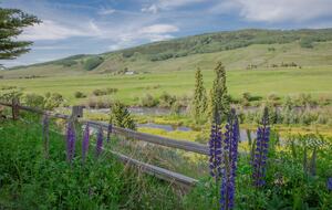 Riverside Eagle View - Crested Butte, Colorado