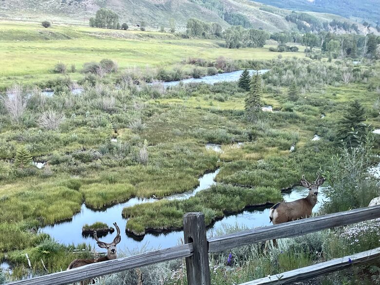 Riverside Eagle View - Crested Butte, Colorado