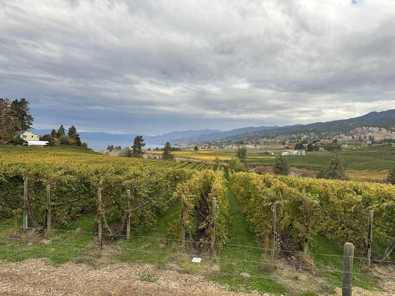 Lakeside Escape in Wine Country and Winter Wonderland - Oliver, Canada