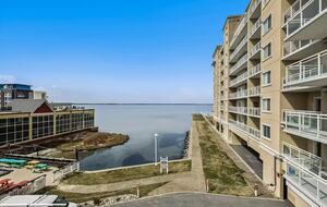 Bella Sun - Ocean City, Maryland