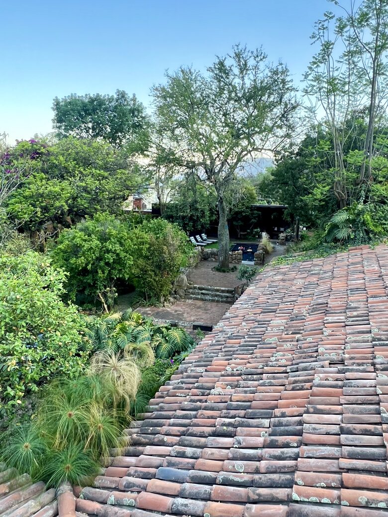 View from the rooftop to the pool