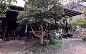 Outdoor terrace