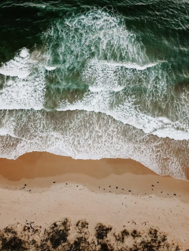 The Endless Summer | 30 Second Walk to the Beach - Culburra Beach, Australia
