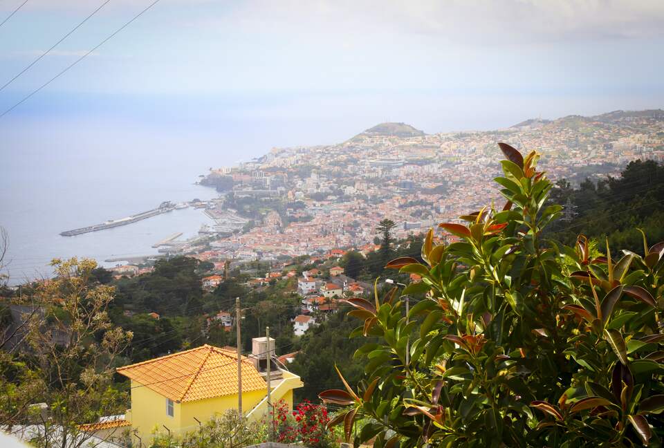 Mountain Haven of Madeira - Funchal, Portugal