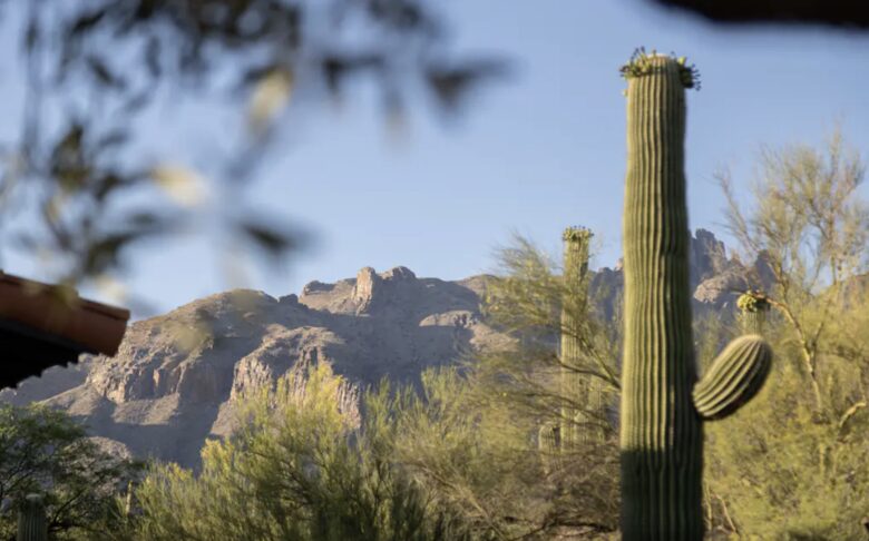 Casa Catalina - Tucson, Arizona