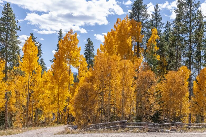 Fall Breckenridge Colorado