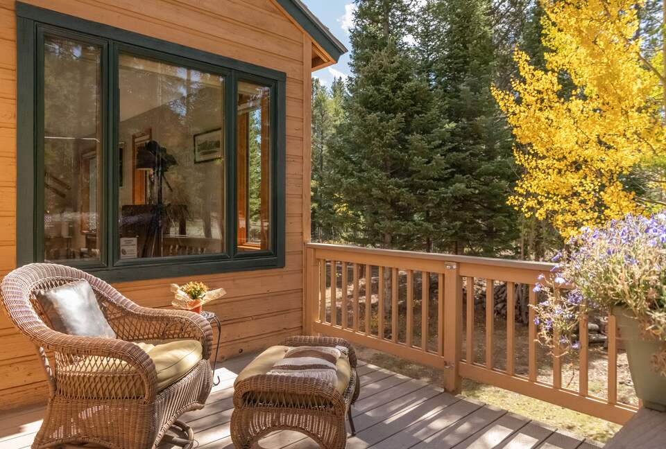 Front Deck Mountain and Forrest Views