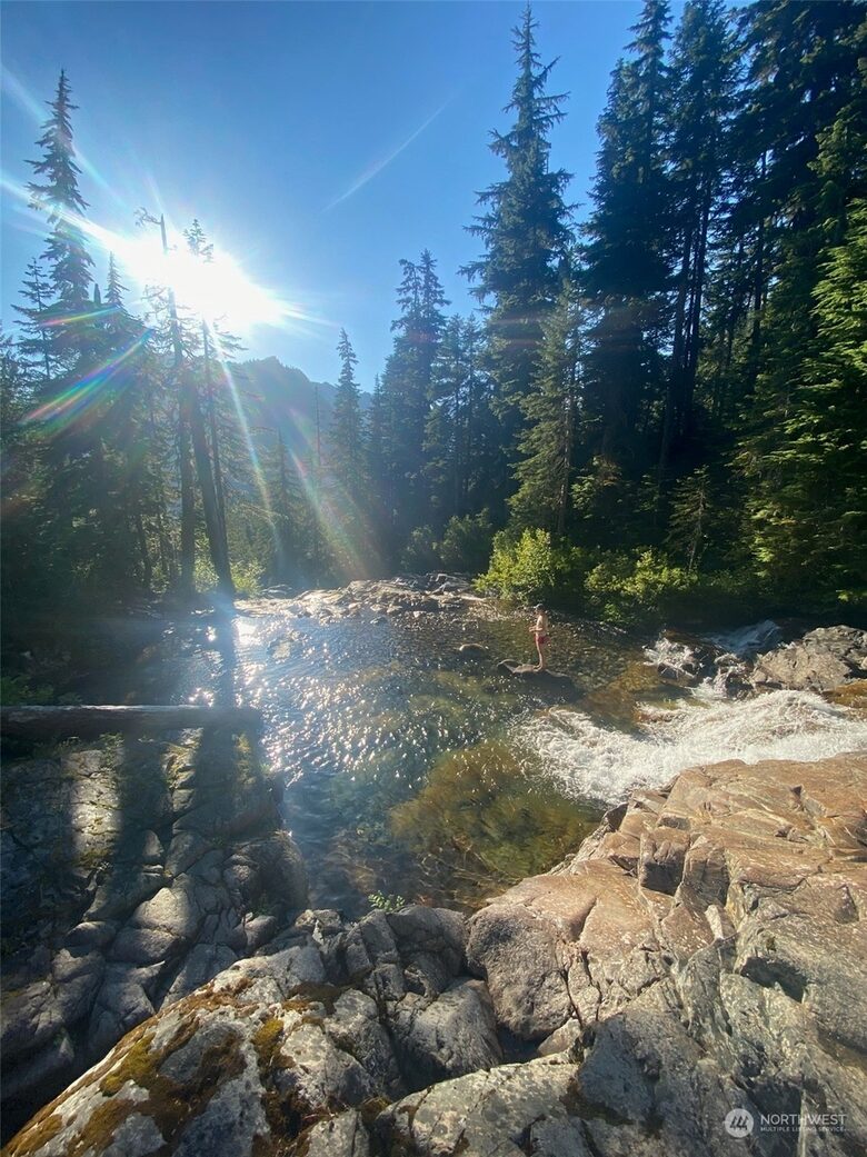 Snoqaulmie Pass Mountain Retreat - Snoqualmie Pass, Washington
