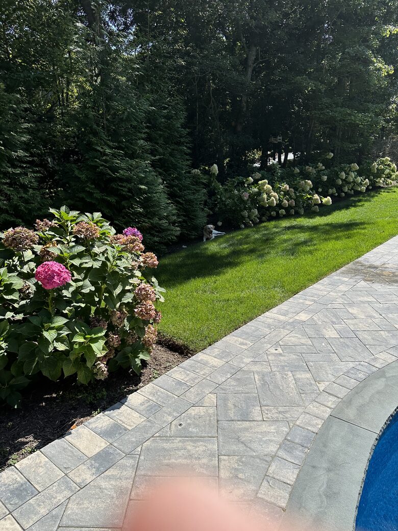 Beautifully appointed landscaping