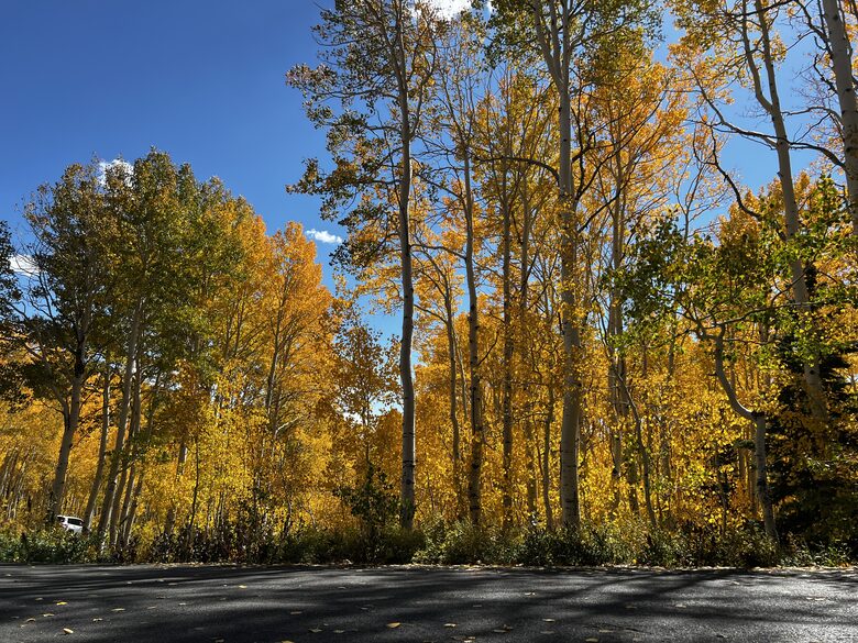 Herber City Hideaway | Beautiful views, Minutes to Park City Resorts, Hot Tub, and more! - Heber City, Utah