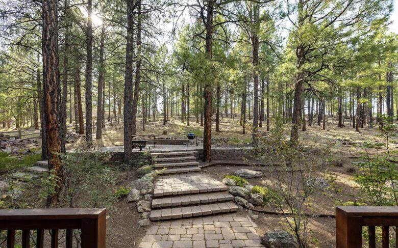 Hidden Acres Cabin - Flagstaff, Arizona