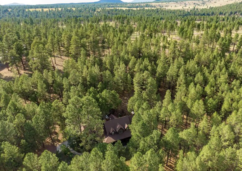 Hidden Acres Cabin - Flagstaff, Arizona