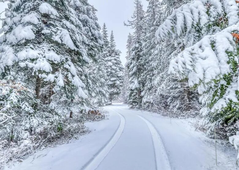 Elk Tracks Lodge - Easton, Washington