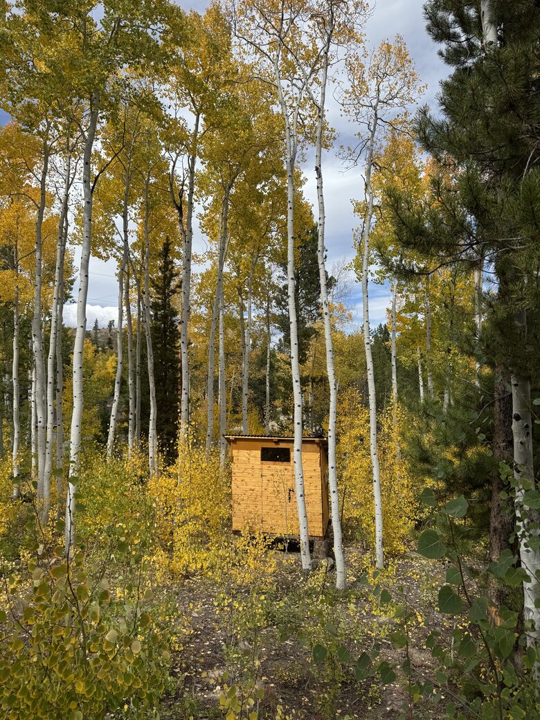 Kids mini cabin in the trees