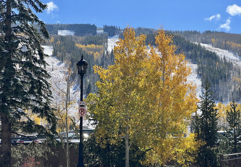 Cozy Home Nestled between Vail & Beaver Creek - Avon, Colorado