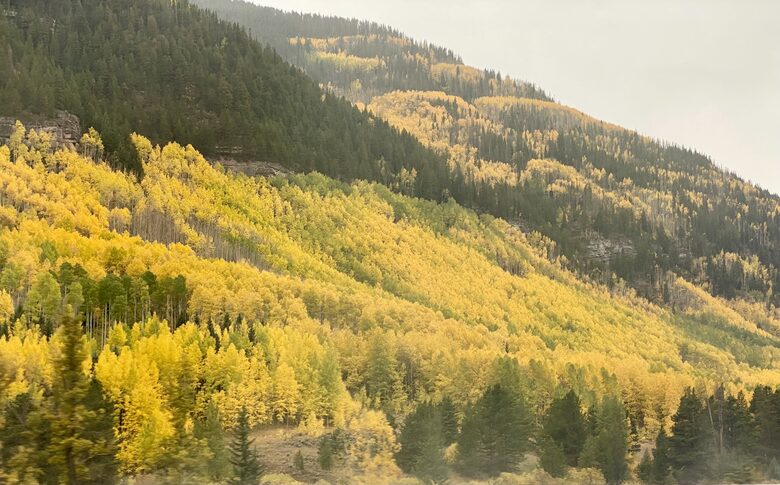 Cozy Home Nestled between Vail & Beaver Creek - Avon, Colorado