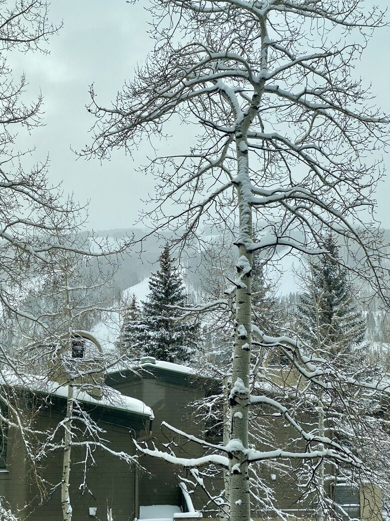 Vail Mountain Getaway - Vail, Colorado