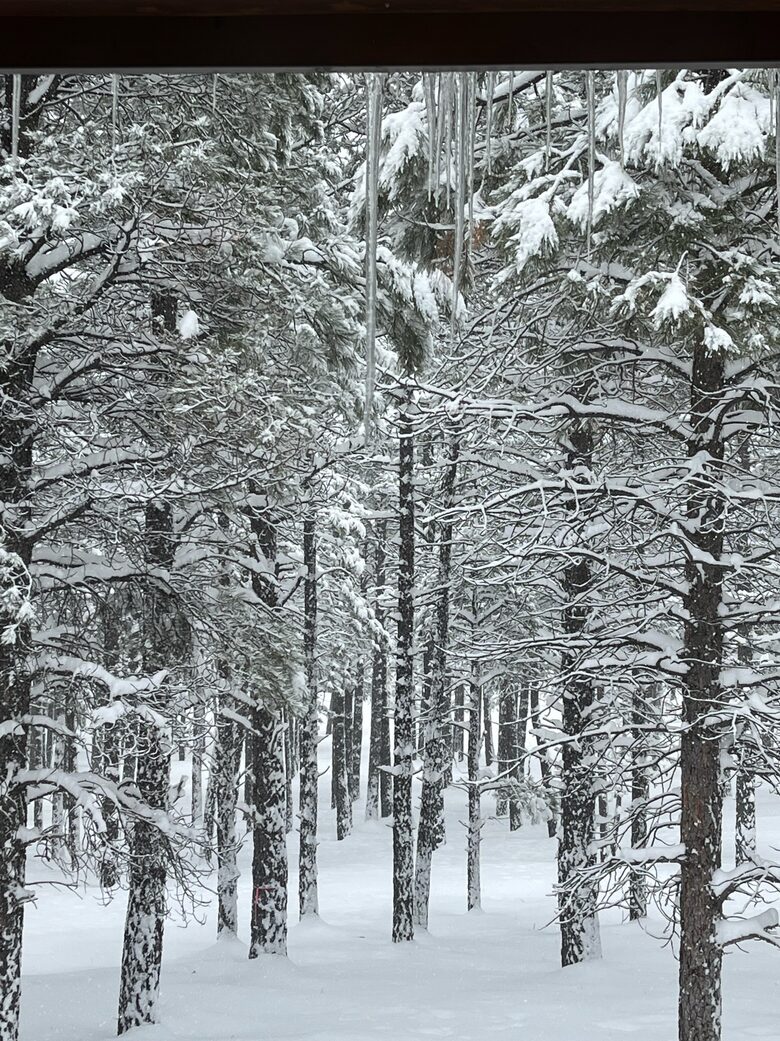 Hidden Acres Cabin - Flagstaff, Arizona