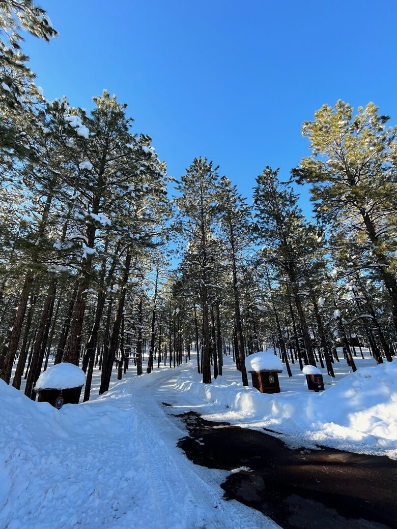 Hidden Acres Cabin - Flagstaff, Arizona