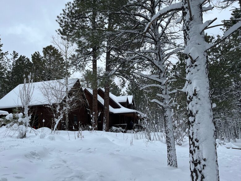 Hidden Acres Cabin - Flagstaff, Arizona
