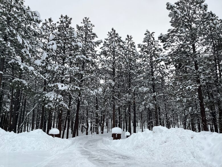 Hidden Acres Cabin - Flagstaff, Arizona