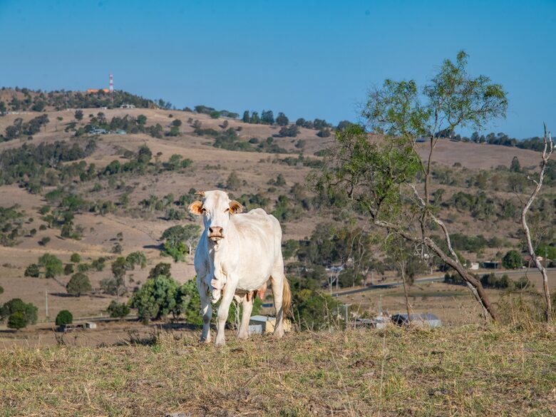Tallegalla Homestead - Tallegalla, Australia