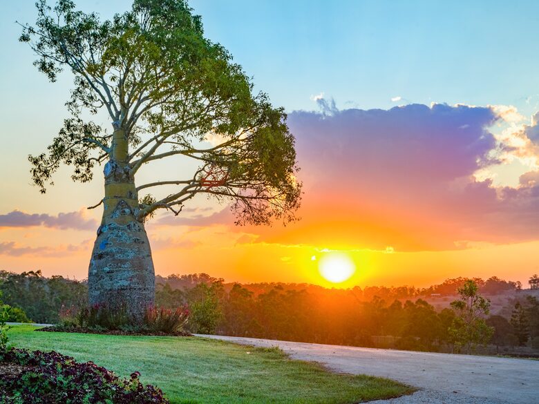 Tallegalla Homestead - Tallegalla, Australia