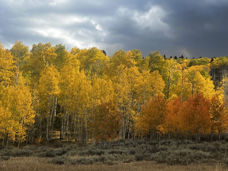 Herber City Hideaway | Beautiful views, Minutes to Park City Resorts, Hot Tub, and more! - Heber City, Utah