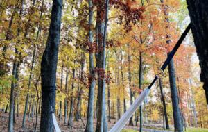 Cozy Chalet Near Berkeley Springs & Harpers Ferry - Gerrardstown, West Virginia
