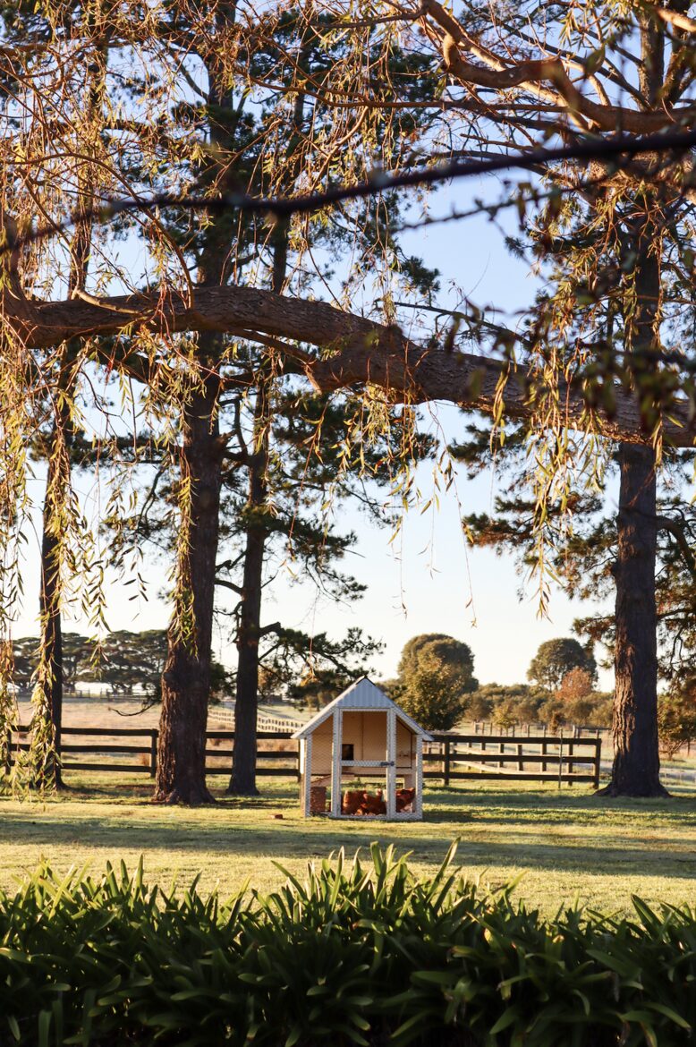 The Homestead at Mount William Station - Grampians, VIC, Australia