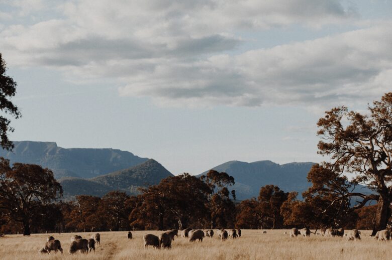 The Homestead at Mount William Station - Grampians, VIC, Australia